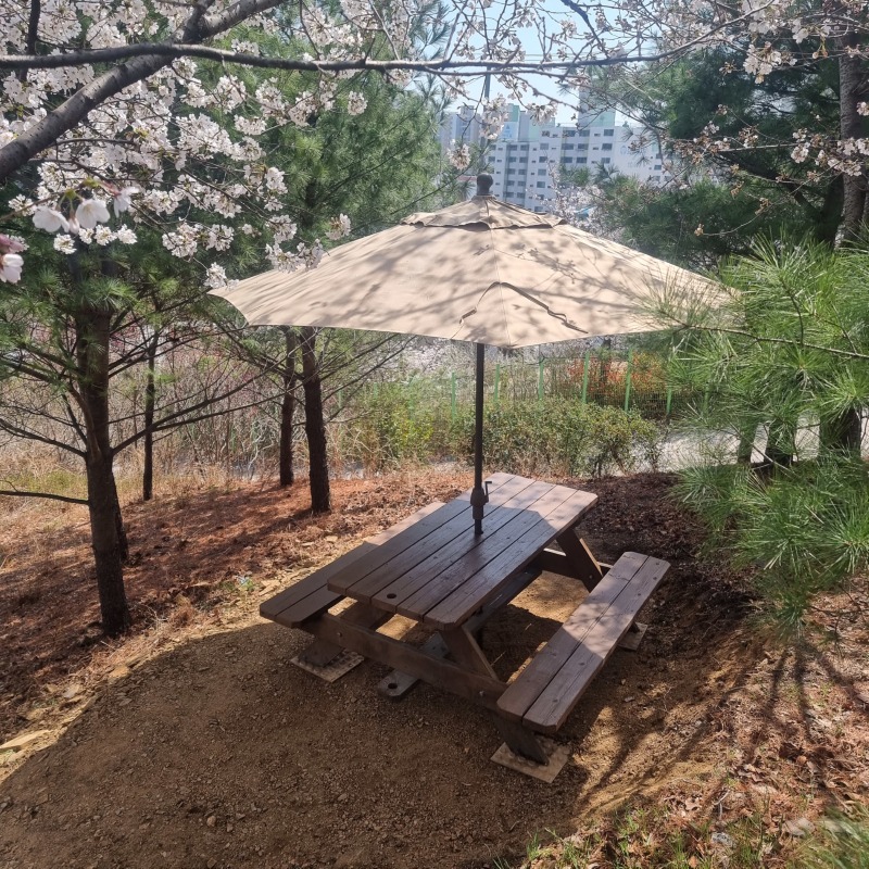 산책로1.jpg