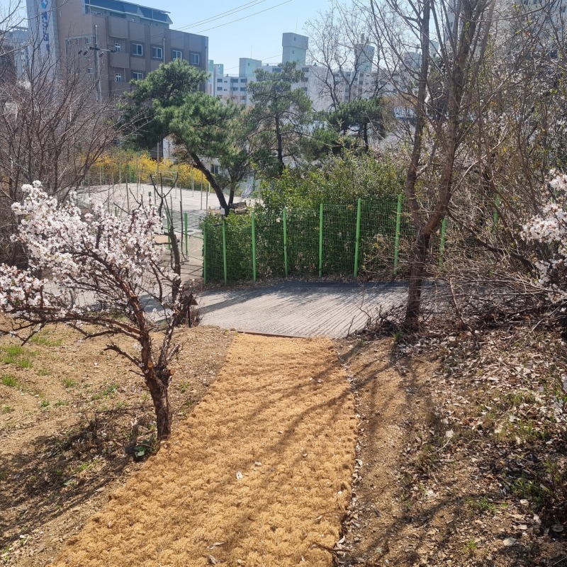 산책로3.jpg