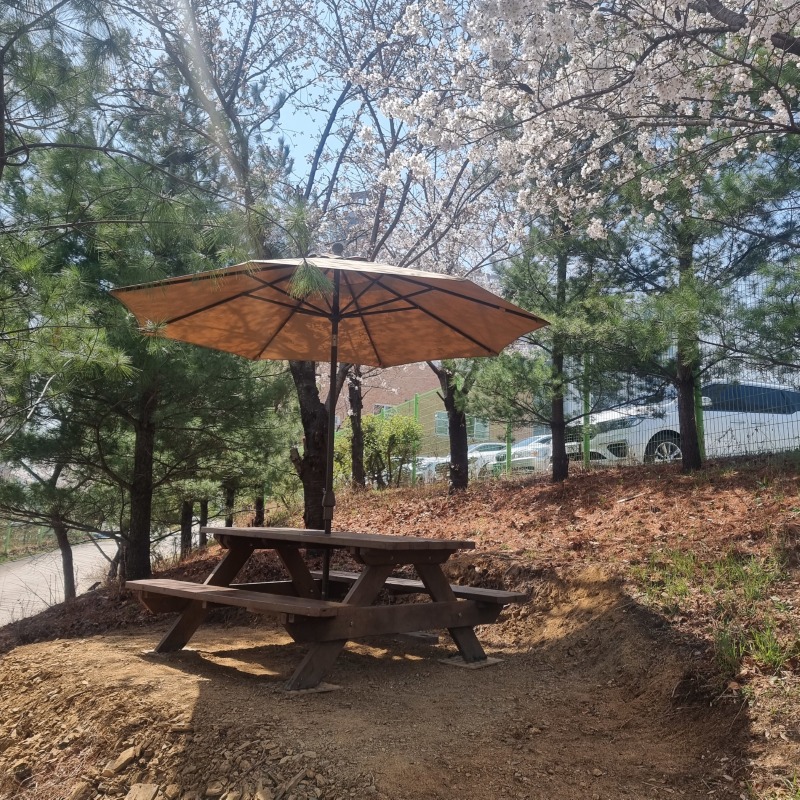 산책로2.jpg