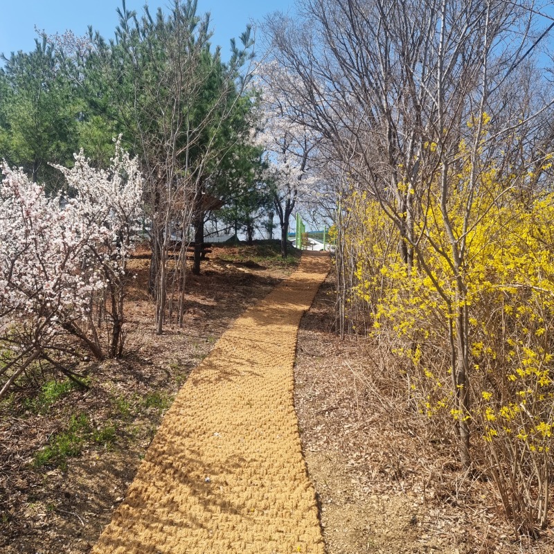 산책로4.jpg