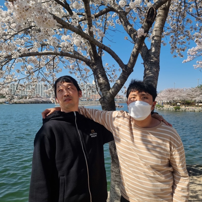 벚꽃2.jpg