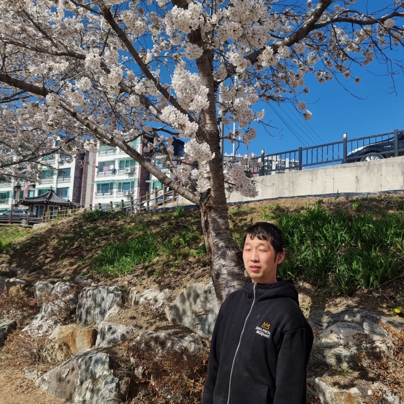 벚꽃5.jpg